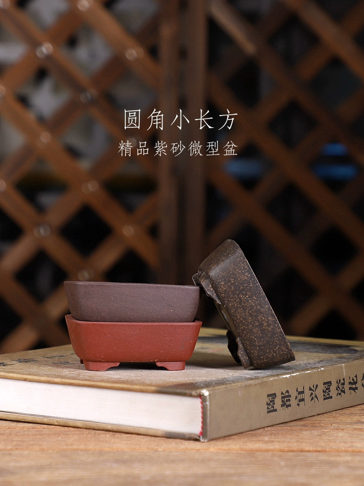Bonsai Garden With Sand - Mor Kum Yuvarlak Açı Dikdörtgen Bonsai