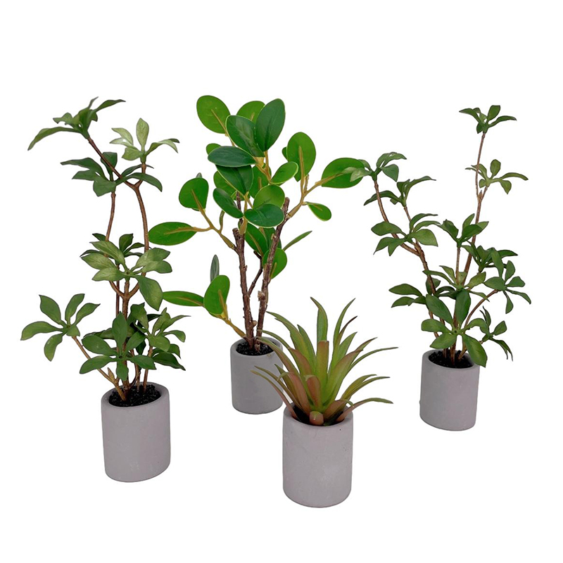 Bonsai Garden House - 1:6 Evcilik Minyatür Saksı Bitki Yeşil