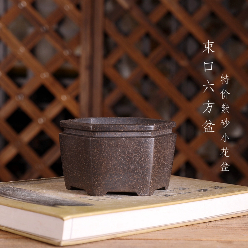 Bonsai Garden With Sand - Altıgen Bonsai saksısı, mor kum, doğa