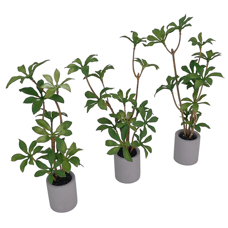 1:6 Evcilik Minyatür Saksı Bit - Bonsai Garden House incelemesi ve fiyatı