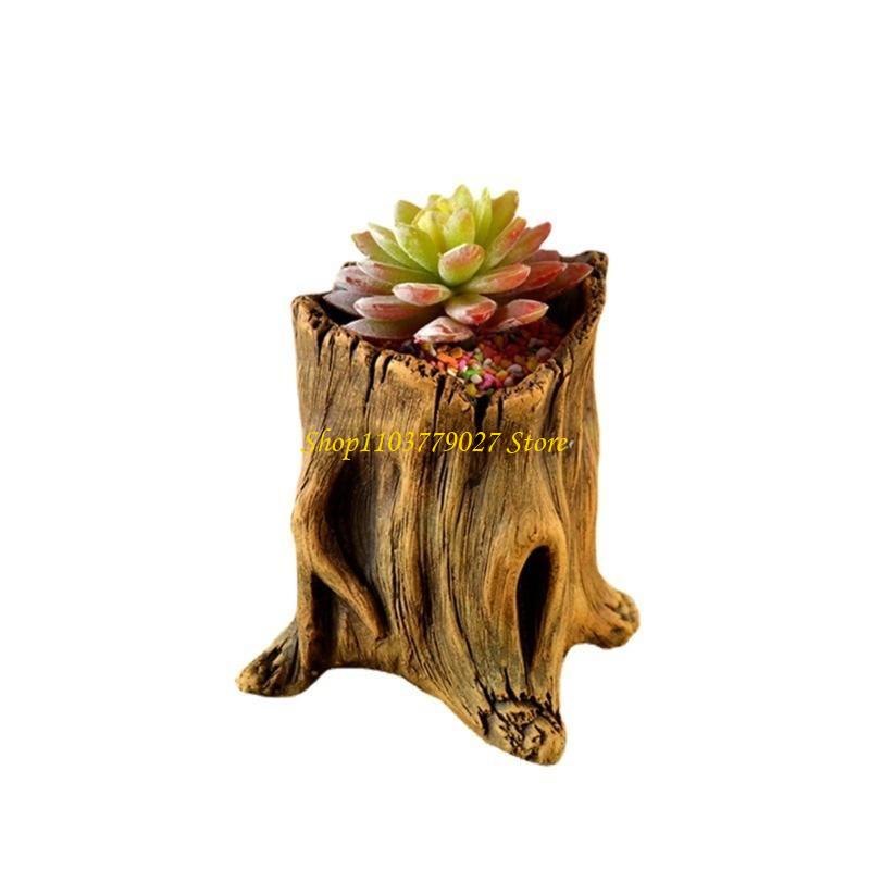 C4DF Dekoratif Beton Succulent - Bonsai Garden Design incelemesi ve fiyatı