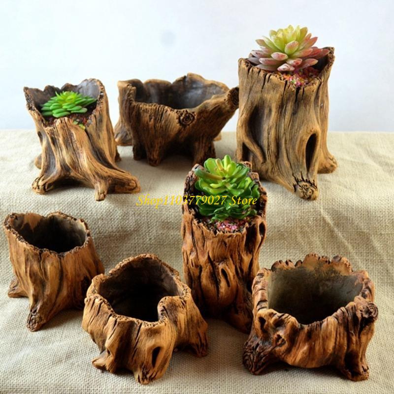 C4DF Dekoratif Beton Succulent - Bonsai Garden Design incelemesi ve fiyatı
