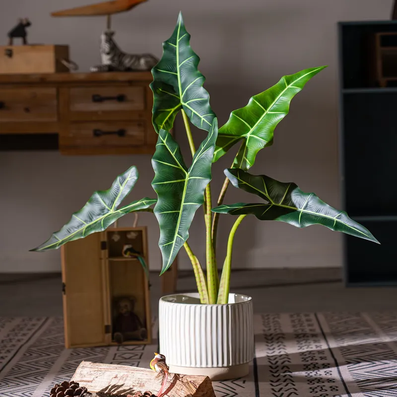 Sıcak Fırsat Küçük Bonsai Simü - Bonsai Garden For Sale incelemesi ve fiyatı