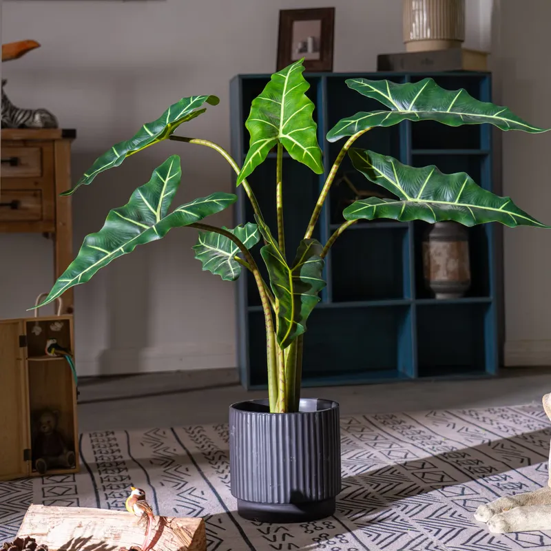Sıcak Fırsat Küçük Bonsai Simü - Bonsai Garden For Sale incelemesi ve fiyatı